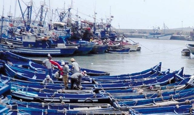 Dakhla : baisse des débarquements, hausse de la valeur marchande en 2023.