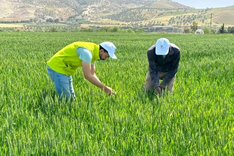 Al Moutmir 2023-2024. Plus de 11500 hectares supplémentaires prévus pour cette campagne.