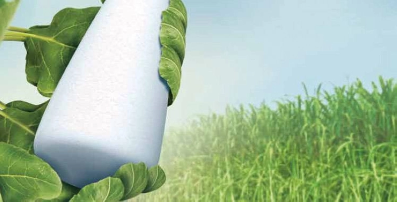 Le gouvernement accorde un soutien financier additionnel de 80 Dh/tonne pour les betteraves à sucre et de 70 Dh/tonne pour la canne à sucre.