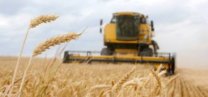 Les prix mondiaux des produits alimentaires ont stagné en novembre 2023 par rapport au mois précédent, selon la FAO.
