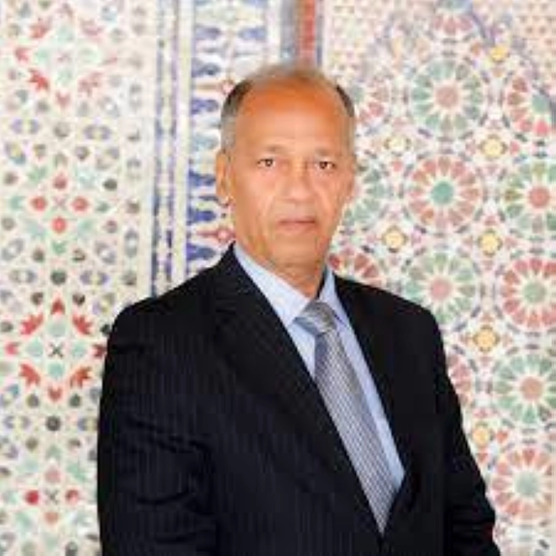 Abdelhak Bassou, Senior Fellow au Policy Center for the New South.