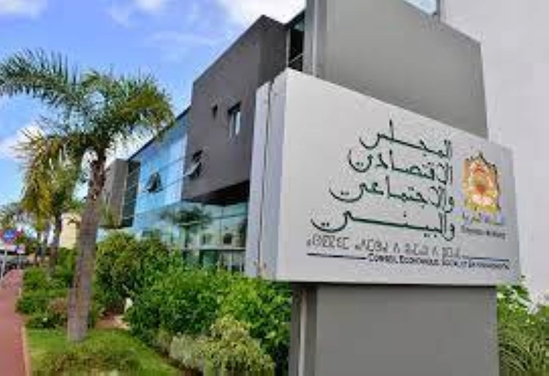 La Cour Constitutionnelle invalide l'élargissement des compétences du CESE.