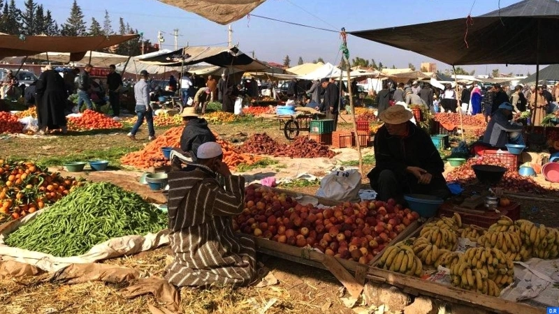 La cour des comptes décortique l'état actuel des marchés hebdomadaires et propose une série de recommandations pour les restructurer.