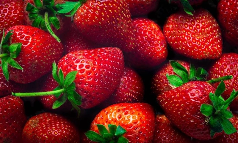 L'ONSSA annonce l'absence de contamination des fraises marocaines par l'Hépatite A et le Novovirus.