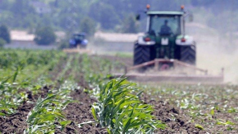 Les dernières précipitations auront un impact positif sur le secteur agricole.