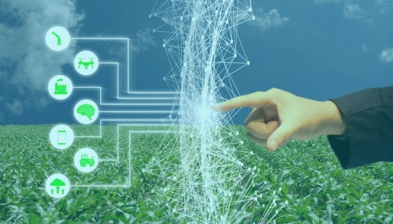 Les solutions agri-tech développés par la startup marocaine, Deepleaf seront déployées au Ghana.