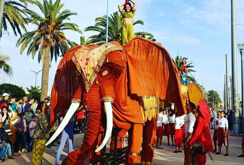 La parade des éléphants, Marrakech fait son cirque.