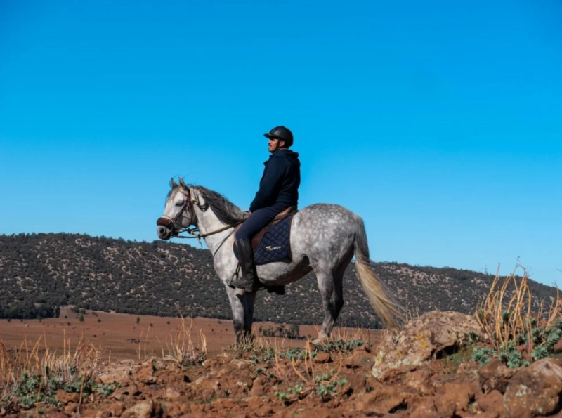 La 3è édition du Maroc Rallye Équestre se tiendra du 22 au 26 mai dans le Parc National d'Ifrane.