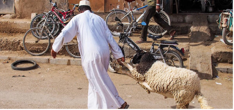 Aid al Adha, le dilemme !