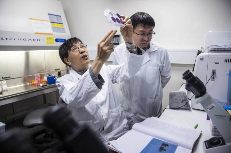 Yuen Kwok-yung, dans son laboratoire. "Les hommes politiques doivent revenir à la raison"". (Photo AFP)