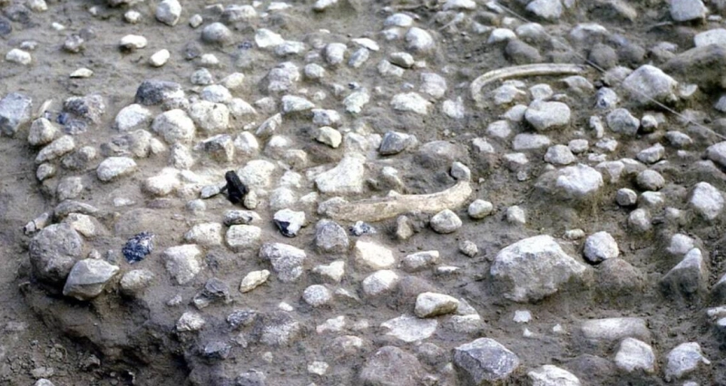 Le site archéologique et paléontologique de la région des hauts plateaux d’Éthiopie Melka Kontouré et Balchit