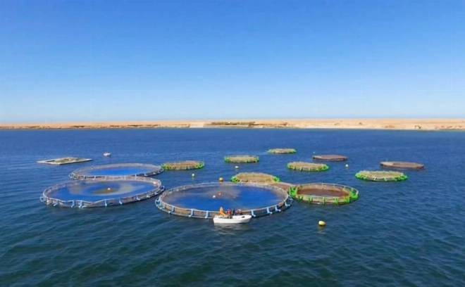 L'ambition est de créer "Tantan Atlantic", un port dédié exclusivement aux énergies renouvelables.