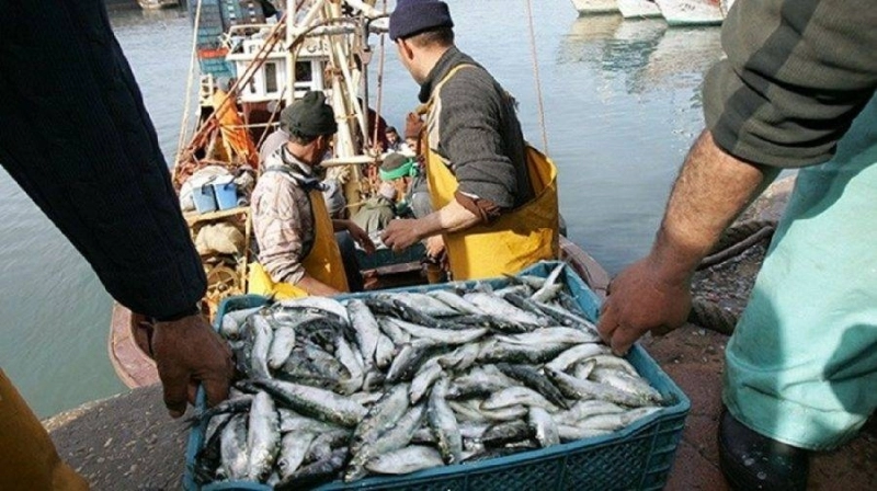 Importante hausse des débarquements des produits à Dakhla
