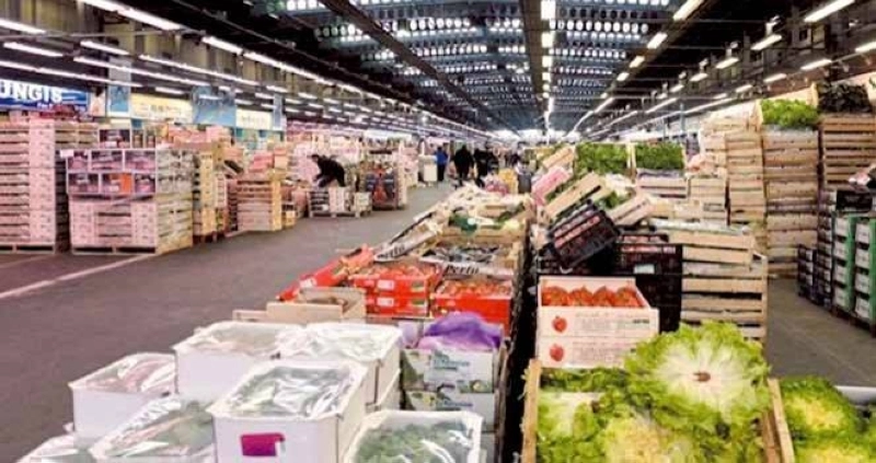 73% des grossistes prévoient une stabilité des ventes au 3ème trimestre, tandis que 18% anticipent une hausse.