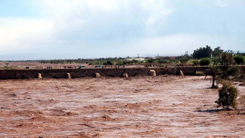 Inondations. Un plan d'urgence de 40 millions de DH pour l'agriculture