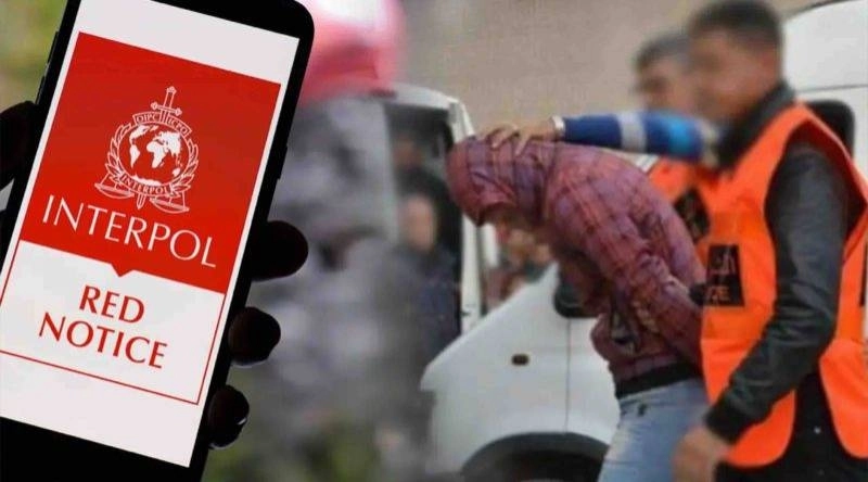 Objet d'une notice rouge d'Interpol