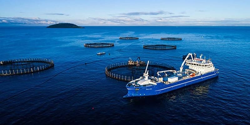 Semaine des océans. Appel à un Fonds bleu pour l'Afrique.