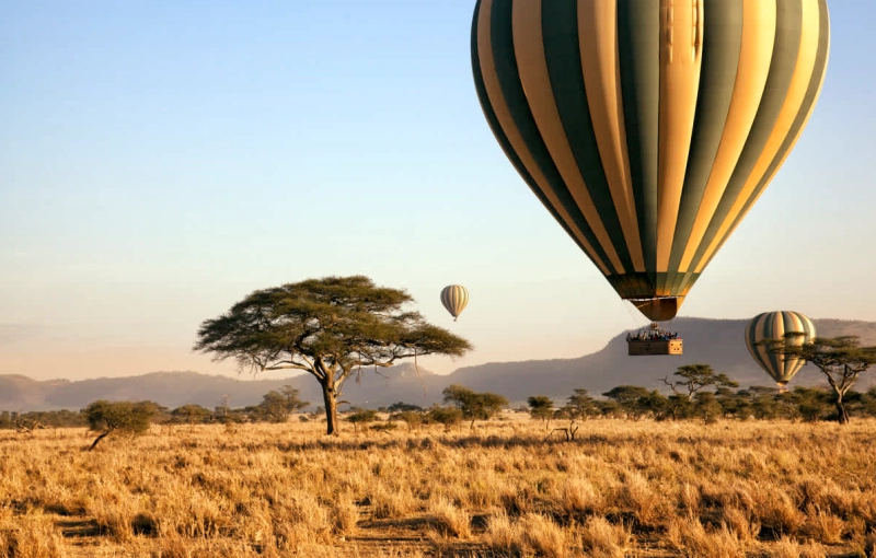 Le parc national du Serengeti en Tanzanie
