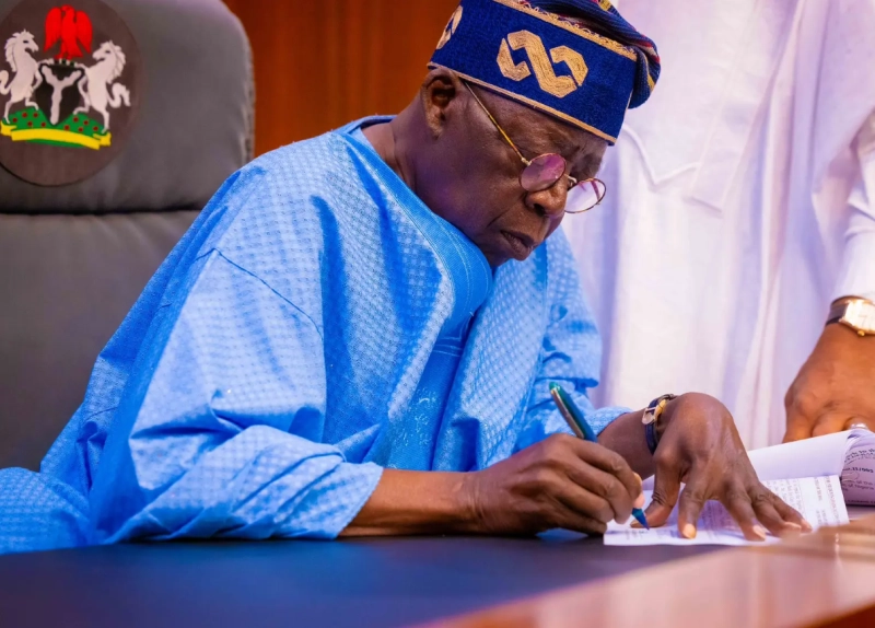 Bola Tinubu, Président du Nigeria