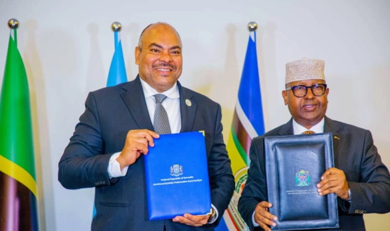 Le ministre tanzanien des Affaires étrangères et de la Coopération Mahmoud Thabit Kombo et le ministre somalien des Affaires étrangères et de la Coopération internationale, Ahmed Moalim Fiqi.