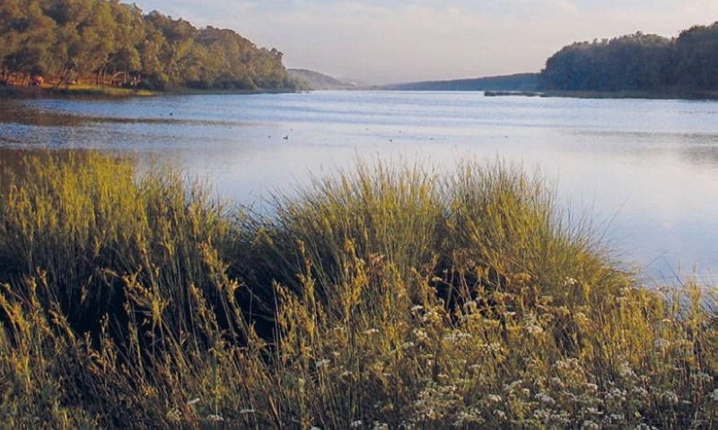 Réserve naturelle et le lac Sidi Boughaba.