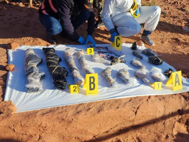 Armes, pistolets et munitions