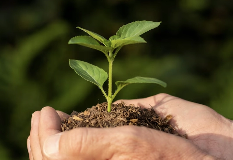 L'agriculture alternative est protectrice de la nature - Ph. Freepik
