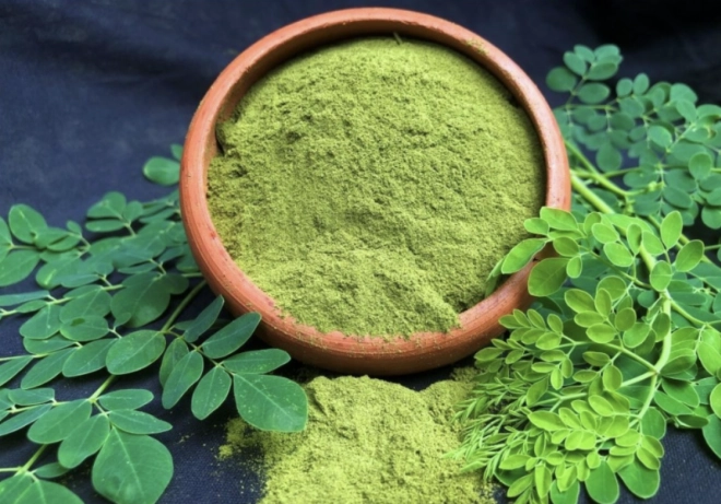 Le moringa est surnommé "la plante miracle".