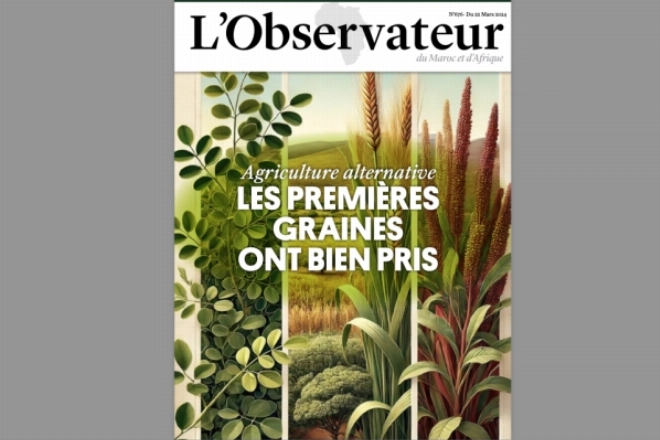 L'agriculture alternative continue de creuser son sillon au Maroc