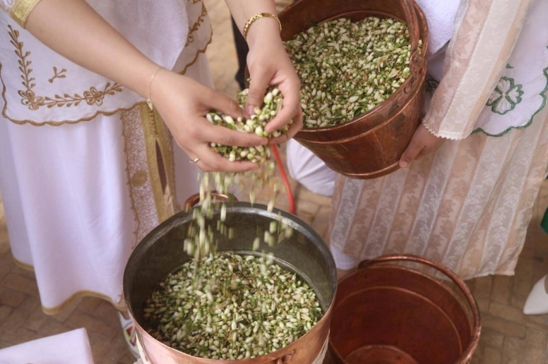 Le Moussem de la fleur d'oranger revient pour une 13e édition du 21 mars au 14 avril 2025 à Marrakech.