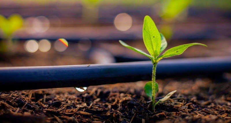 Engrais. Deux nouveaux pôles pour OCP Nutricrops d’ici 2028.