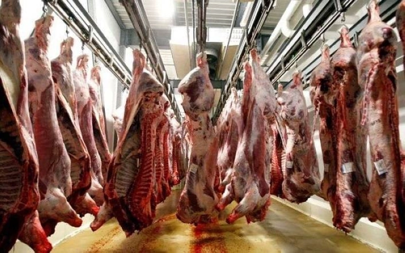 Le Maroc prévoit la réhabilitation ou construction de 120 abattoirs agréés à l’échelle nationale.