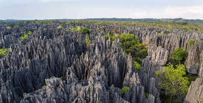 Le site des forêts sèches d’Andrefana (Madagascar)