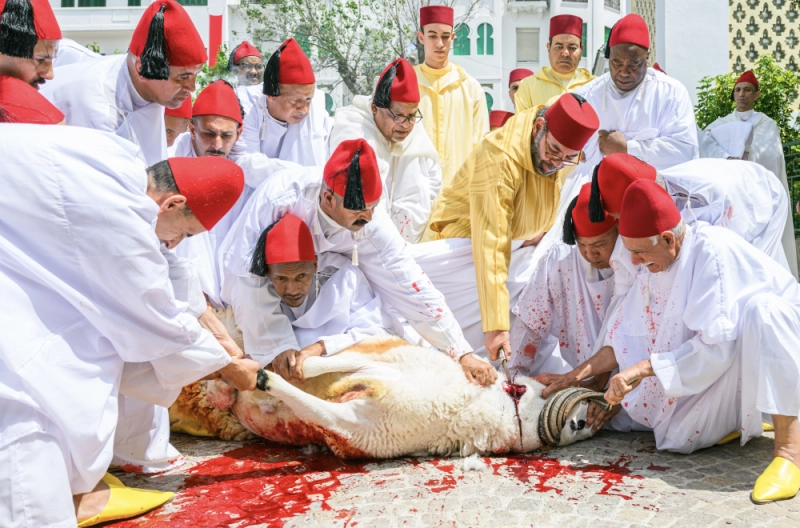 SM le Roi Mohammed VI procédant au rituel du sacrifice