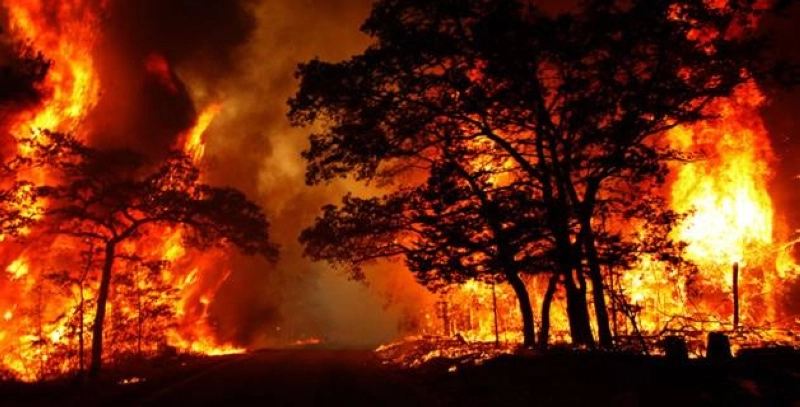 Prévenir les feux de forêts est l'affaire de tous