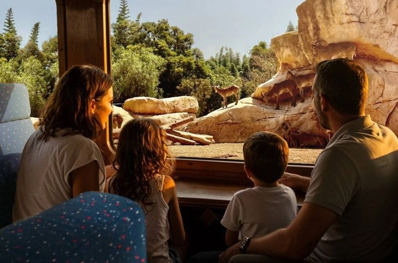 Le concept Safary By Train lancé par l'ONCF mixe offre de transport et de découverte.