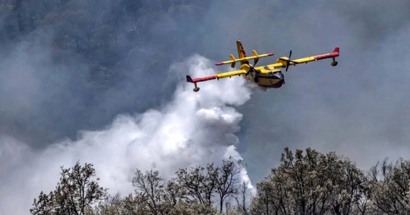 Deux canadair dépêchés pour maîtriser l'incendie