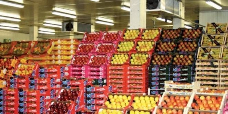 Les exportations agricoles et agroalimentaires ont atteint 48,5 milliards de dirhams au premier semestre 2025, en hausse de 3,2 %.