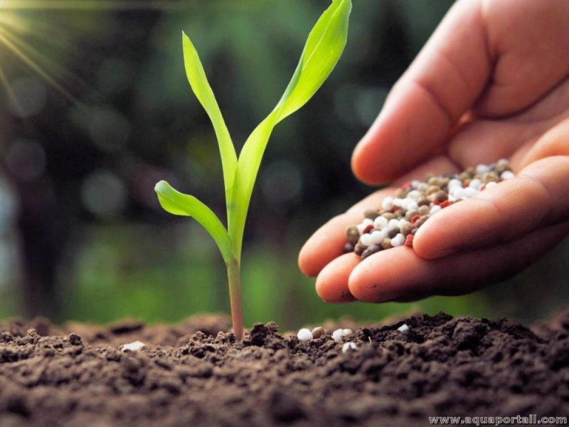 L’INRA publie les premières cartes nationales de fertilité des sols, un outil inédit pour optimiser la fertilisation et renforcer l’agriculture de précision au Maroc.