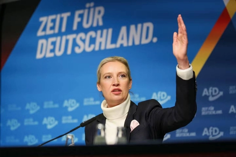 Alice Weidel, chef de file de l'AfD. Une ascension irrésistible