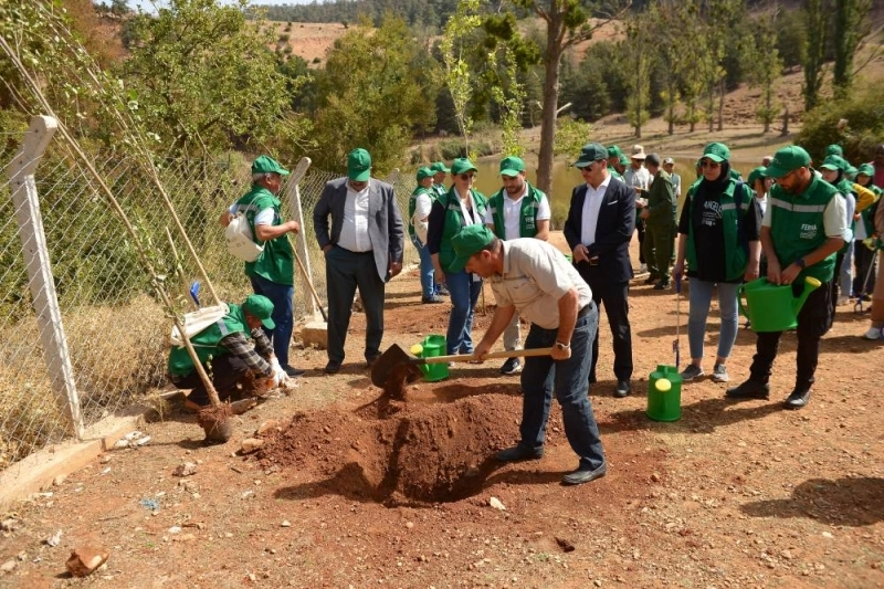 Plantation de 30 arbres dans le cadre de l'opération de restauration écologique du parc
