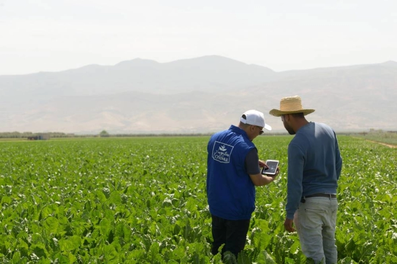 COSUMAR lance sa campagne sucrière 2025/2026 avec un dispositif renforcé pour soutenir les agriculteurs et sécuriser la production nationale malgré la sécheresse.