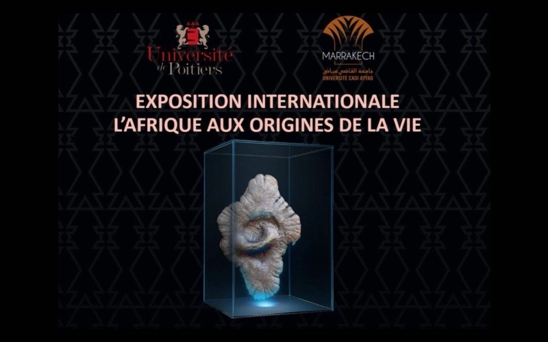 L’Afrique aux origines de la vie se tiendra à la Cité des Langues et des Cultures à Marrakech, du 28 novembre 2025 pour 3 mois.