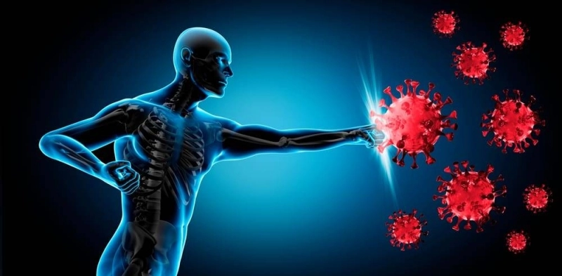 Un environnement et un mode de vie favorables au système immunitaire