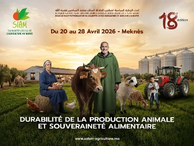 Le Salon International de l’Agriculture à Meknès, du 20 au 28 avril, mettra en lumière la production animale et la souveraineté alimentaire, tout en mettant l'accent sur les contraintes structurelles et économiques du secteur.
