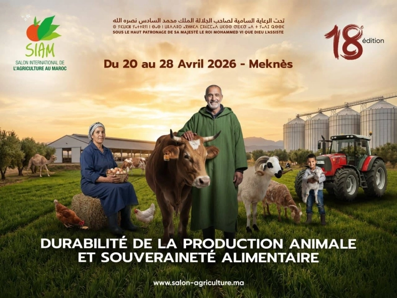 Le Salon International de l’Agriculture à Meknès, du 20 au 28 avril, mettra en lumière la production animale et la souveraineté alimentaire, tout en mettant l'accent sur les contraintes structurelles et économiques du secteur.