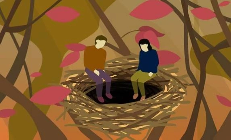 l'évolution des "Couples sans enfants" est due à l'essor des «nids vides»