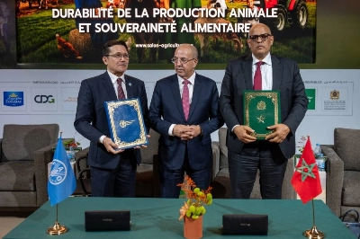 Au SIAM 2026, le Maroc et la FAO lancent une nouvelle dynamique pour valoriser les systèmes agricoles traditionnels comme levier de développement durable et de résilience territoriale.