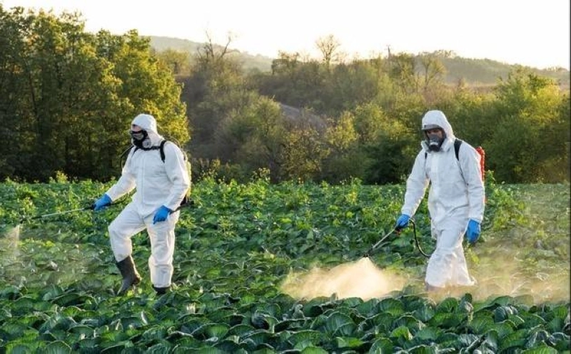 L’ONSSA renforce le contrôle des pesticides pour accompagner une agriculture marocaine plus durable, compétitive et conforme aux standards internationaux.