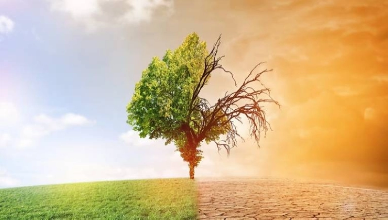 Sécheresse, canicule et pluies torrentielles... Un avenir inquiétant